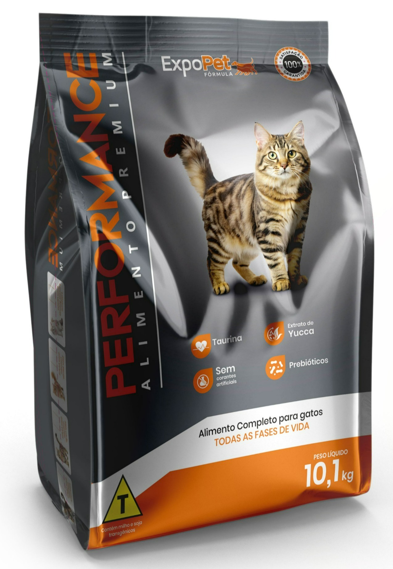 gatos-bx.jpg